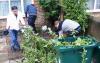 http://www1.jesushouse.org.uk/sites/default/files/2012-05-01_13.56.15_0.jpg